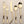 Twig PVD 5 Pc. Flatware Set