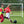 6 x 4 Feet Soccer Goal with Strong UPVC Frame