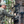 BOTTOMLAND: Pack Rat Tree Hugger FULL SEND SYSTEM