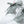 Vulture Gray