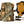 Bino Slicker XD2 Harness with Pockets - TRAPSKI