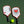 Pro 1 Pickleball Paddle 16mm: Keith Haring #1