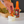 The Entire Sauce Collection