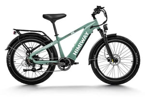 D5 Zebra | All-terrain, Fat Tire