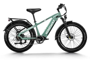D5 (Zebra) / All-terrain Electric Fat Bike