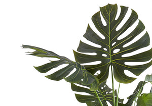 55" Tall Artificial Monstera Tree