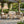 4-Piece Acacia Wood Patio Furniture Set