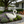 12.8'' Tall Vintage Swan Statue Planter