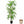Dracaena Artificial Plant Indoor - 5.5FT