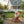 Wooden Kid's Adirondack Chair for Indoor and Outdoor Use