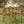 U_STYLE 5-Piece Outdoor Dining Set with Acacia Wood Chairs
