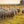 5x164 ft Advanced Weave Farm Enclosures
