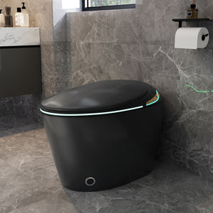 Unique Smart Toile With Built In Bidet, Auto Open / Close Seat, Foot Sensor, LED Display, Night Light, Warm Water & Dryer Ceramic