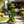 32'' Resin Saguaro Cactus Plant Stand with 3 Display Shelves