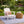 2 Pack Outdoor Lumbar Pillow with Inserts - Tropical Parrot