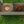 Large Chicken Coop with 20.93 Sq Ft Run