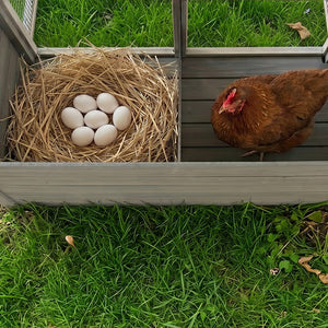 Large Chicken Coop with 20.93 Sq Ft Run