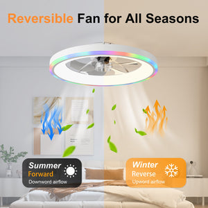 23.6" Modern RGB Ceiling Fan with Lights
