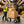 HT1006BK-YL Hand Truck Dual Purpose Cart