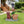 Sitting Puppy Solar Planter Outdoor Statue