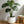 Assorted Sizes Magnesium Oxide Round Planter Set of 3