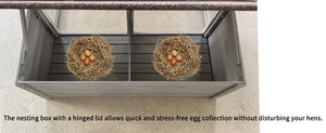 Large Chicken Coop with 20.93 Sq Ft Run