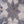 Pari Blooming Grand Wall Tile