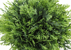 5" Tall Artificial Plant Grass - Set of 3