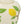 8.7x8.7x15' White Ceramic Lidded Jar with Playful Lemon Design