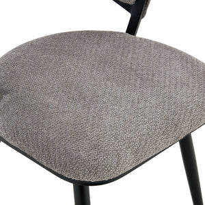 Dining Chairs For Dining Room & Kitchen (Set of 2)