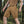 M-Tac Shorts Aggressor Gen.II Flex