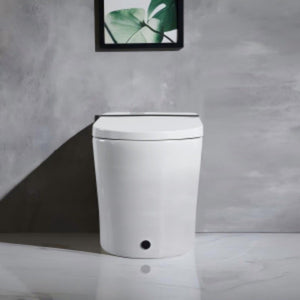 Smart Toilet With Bidet Seat Built In, Auto Open / Close Seat, Foot Sensor, LED Display - White