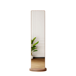 3 In 1 Multifunctional Full-Length Clothing Mirror