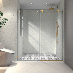 6076 Brushed Shower Door