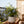 Large Round Planters for Indoor and Outdoor Use