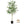 6FT Artificial Olive Tree Indoor Faux Plant
