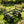 Wagon Cart Garden Cart Trucks Make It Easier to Transport Firewood