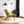 Connor - Genuine Lounge Chair
