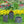 9.4x9.4x18.1' Cement Planter Large, Indoor Outdoor Garden Functional Decor