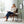 Accent Chair, Classic Mid Century Modern For Extra Seating