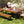 GO Outdoor Wood Dining Set For 7-8 Persons