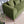 Richardson Velvet Sofa