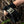 M-Tac Cobra Buckle Tactical Belt