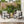 Navan Outdoor Patio Club Chair