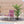Simulate Plastic Flower Boxes With Leaves For Outdoor Home Decor (Set of 2) -