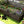 6x3x1.5ft Galvanized Raised Garden Bed