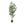 Artificial Laurel Tree