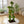 72in Cactus Cat Tree Tall Cat Tower for Indoor Cats