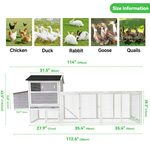 Chicken Coop With Run And Nesting Box