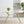 Modern Minimalist Style Dining Table